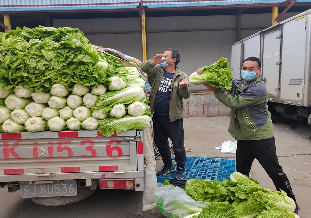 开云（中国）加大“冬储菜”调运，全力做好保供稳价